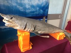 -山东八大碗山东老字号