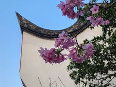 -乌山风景区
