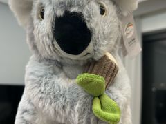 -ZOO COFFEE动物园咖啡(红山森林动物园店)