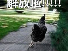 -永和大王(中关二店)