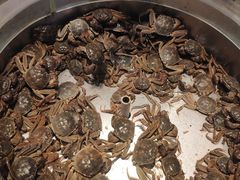 -欢乐牧场海鲜烤肉自助(牡丹园店)