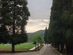 -武陵山森林公园