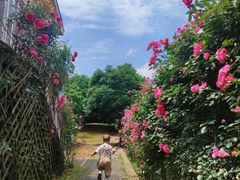 -武汉紫薇都市田园