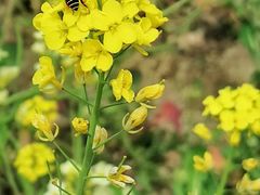 -广富林郊野公园