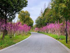 -狼山风景名胜区