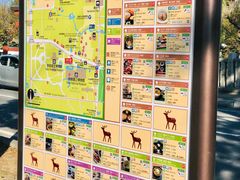 -奈良公园
