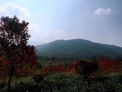 -塔川景区