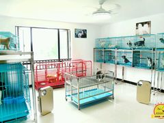 -翊宠yipet猫狗购宠庄园犬舍•猫舍