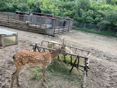 -北京山里寒舍度假酒店