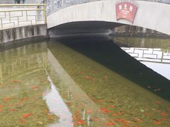 -法门文化景区