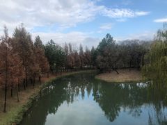 -尚贤河湿地