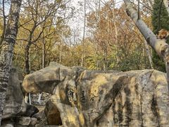 -石老人观光园