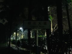 -武汉大学-樱园