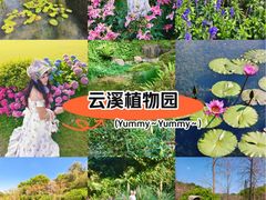 -云溪植物园