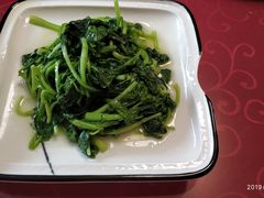 清炒鸡毛菜-19号私房菜(云南路店)
