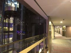 -南京禄口机场雅高铂尔曼大酒店