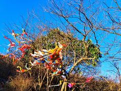 -萍乡武功山风景名胜区