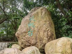 -梧桐山风景名胜区