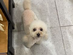 -FAELING PETS美天灵宠物(富力广场店)