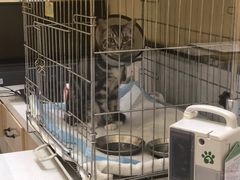 -惠康宠物医院(华能路店)