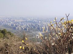 -杭州半山国家森林公园