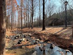 -白水寺森林公园