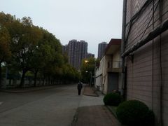 -同济大学(沪西校区)
