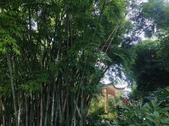-晓港公园