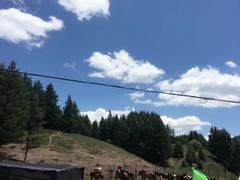 -塞罕坝国家级自然保护区