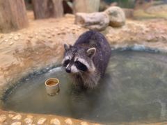-正佳雨林生态植物园