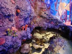 -沈阳海洋探索中心