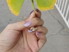 -竹叶涮肉坊(总店)