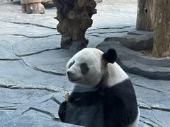 -秦皇岛野生动物园