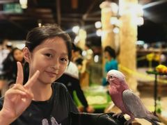 -清迈夜间动物园