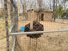 -必胜客(新中纬店)