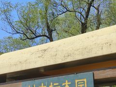 -黑龙江省森林植物园