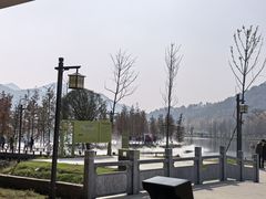 -千年银杏谷文化旅游区