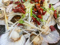 -鲁前海沿儿