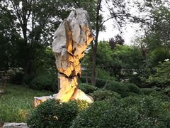 -济南植物园