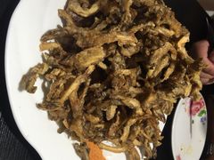 金手勺-金手勺东北菜馆(大屯北路店)