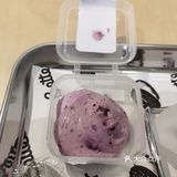 鹊食贝果，确实好吃！