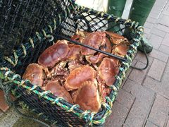 -Oban Seafood Hut..(Green Shack)