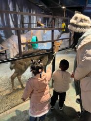 -酷嗒动物文化乐园(cutezoo西溪乐天城店)