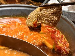 -冯校长老火锅(广州正佳广场店)