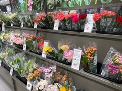 -鹿岛生活(熙地港店)