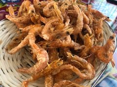 炸河虾-何适山庄 ·可团建(水长城P2停车场店)