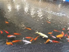 -新世界大丸百货