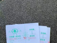 -武汉关码头(轮渡站)