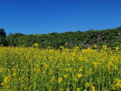 -长春公园(普阳街道)