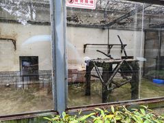 -柳州市动物园